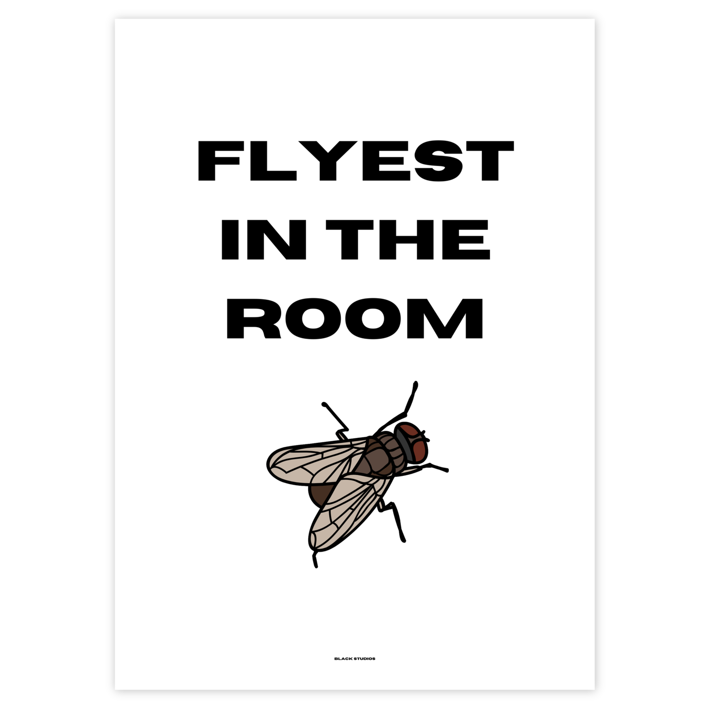 FLY